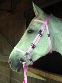 pink-bridle.jpg